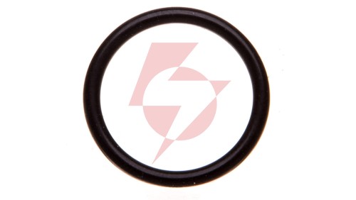 Uszczelka do dławnicy M20 SKINDICHT O-Ring Perbunan O M20x2,00 53102020 /100szt./