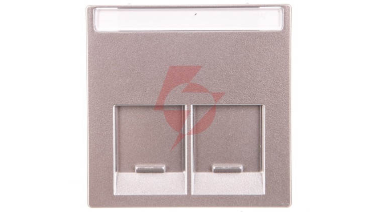 Merten System M Płytka centralna podwójna gniazda komputerowego RJ45 aluminium MTN466560