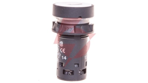 Przycisk sterowniczy 22mm biały z samopowrotem 1Z XB7NA11341