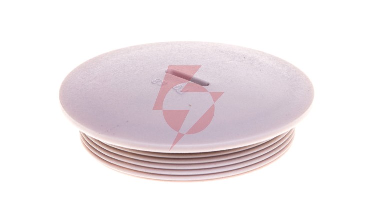 Zaślepka poliamidowa PG48 SKINDICHT BLK-GL 48 jasnoszara 52024857