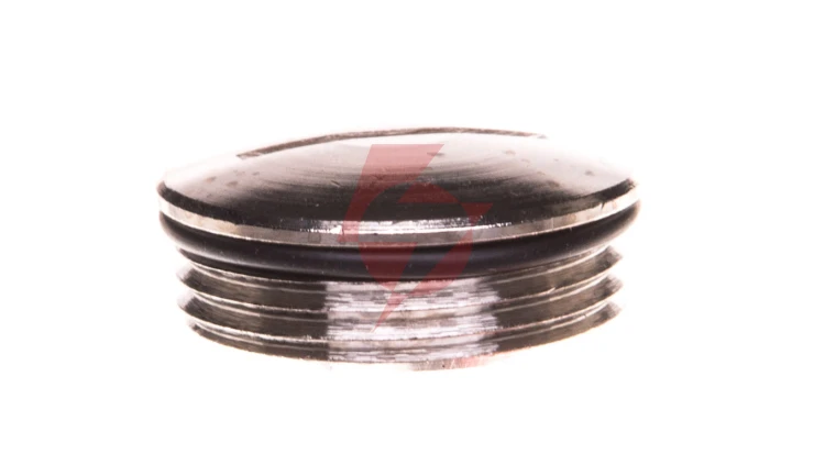 Zaślepka mosiężna PG16 IP68 SKINDICHT BL 16 z O-ring 54001640