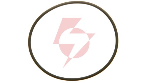 Uszczelka do dławnicy M12 SKINDICHT O-Ring VITON M12/9x2 52122000