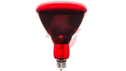 Promiennik podczerwieni E27 250W R123RB PRO-2109