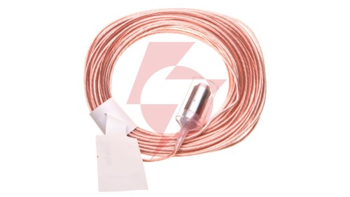 Elektrody kontrolne przewodowe do przekaźników 72.01 i 72.11 końcówka ze stali nierdzewnej dł.15m fi 1,5mm 072.01.15