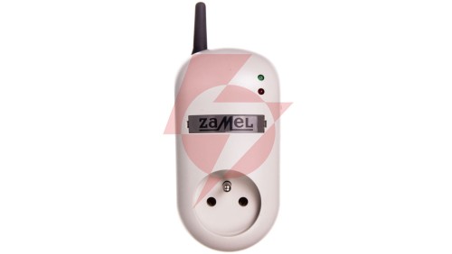 Gniazdo zdalnie sterowane z pilotem (RWG-01+P-257/2) RWG-01K EXF10000062