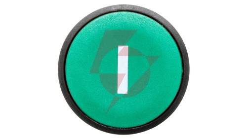 Przycisk sterowniczy 22mm zielony z samopowrotem 1Z XB7NA3131