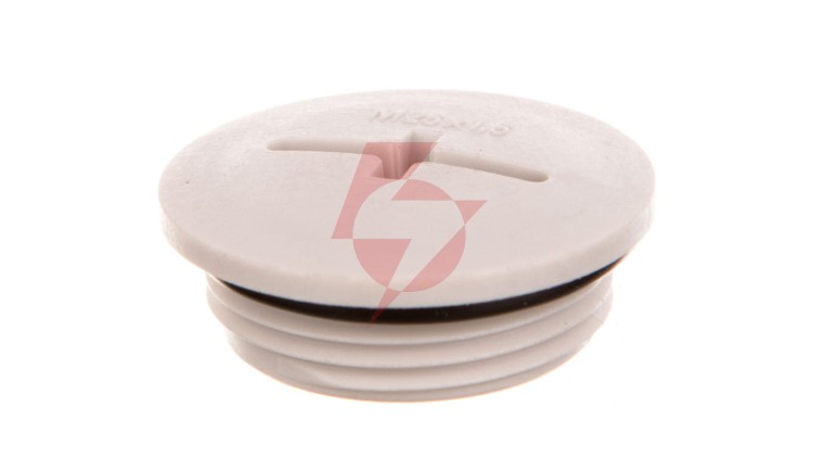 Zaślepka poliamidowa M25 IP68 z O-Ring SKINDICHT BLK-GL-M 25x1,5 jasnoszara 52006137
