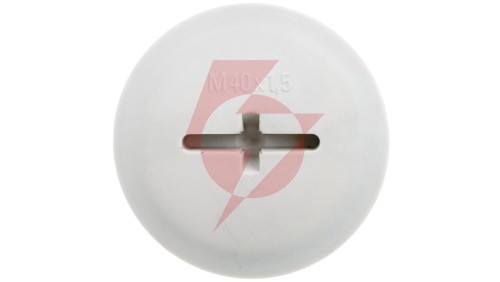Zaślepka poliamidowa M40 IP68 z O-Ring SKINDICHT BLK-GL-M 40X1,5 jasnoszara 52006157