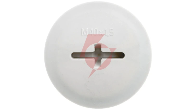 Zaślepka poliamidowa M40 IP68 z O-Ring SKINDICHT BLK-GL-M 40X1,5 jasnoszara 52006157