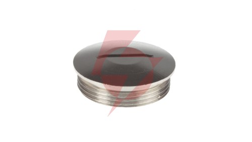 Zaślepka mosiężna M32 IP54 SKINDICHT BL-M 32x1,5 52103140