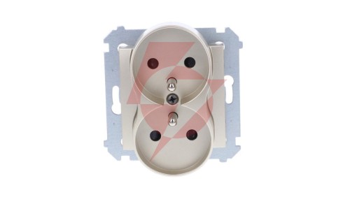 Simon 54 Nature Gniazdo podwójne z/u 16A 250V z przesłonami złoty DGZ2MZN.01/44