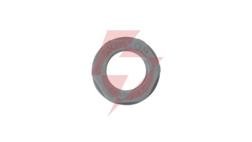 Nakrętka poliamidowa M12 SKINTOP GMP-GL-M 12x1,5 ciemnoszara 53119000 /100szt./