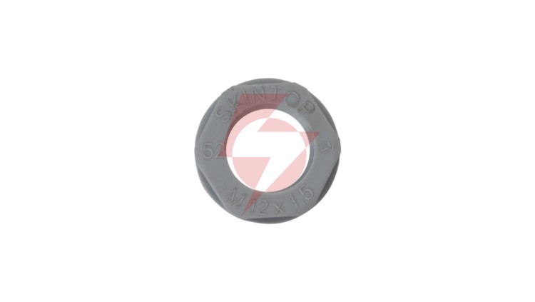 Nakrętka poliamidowa M12 SKINTOP GMP-GL-M 12x1,5 ciemnoszara 53119000 /100szt./
