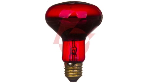 Promiennik podczerwieni E27 75W R80RB do terrarium PRO-1466