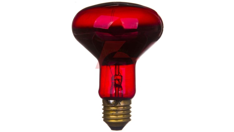 Promiennik podczerwieni E27 75W R80RB do terrarium PRO-1466
