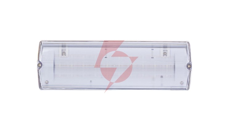 Oprawa awaryjna LED 1W 3h IP65 Ikl. jednostronna dwuzadaniowa ECONOMIC LED PT +PU33 ECL/1W/C/3/SA/PT/CL