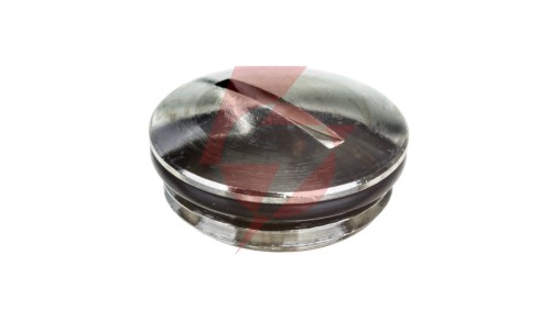 Zaślepka mosiężna M20 IP68 SKINDICHT BL-M 20x1,5 z O-ring 52103125