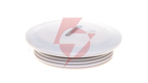 Zaślepka poliamidowa PG29 SKINDICHT BLK 29 52006000 /50szt./