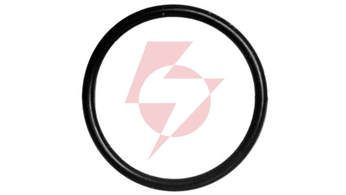 Uszczelka do dławnicy M20 SKINDICHT O-Ring Perbunan O M20x1,5 53102021 /100szt./