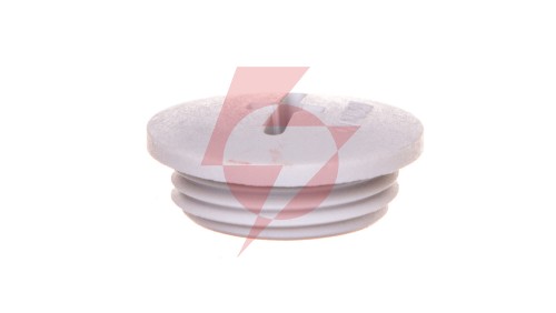 Zaślepka poliamidowa M20 IP54 SKINDICHT BLK-GL-M 20x1,5 jasnoszara 52006120