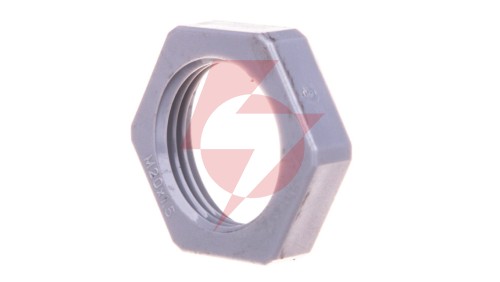 Nakrętka poliamidowa M20 srebrnoszara 116 M20 SGR PA 2048779 /100szt./