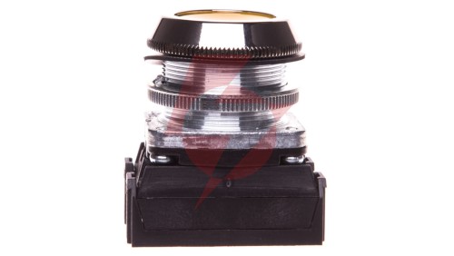 Przycisk sterowniczy 30mm żółty 2Z z samopowrotem W0-NEF30-K 2X G