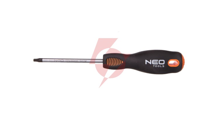 Wkretak Torx T25 x 100 mm SvCm 04-046
