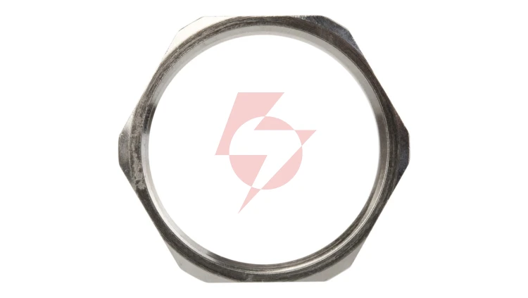 Nakrętka mosiężna PG29 SKINDICHT SM 29 52003550