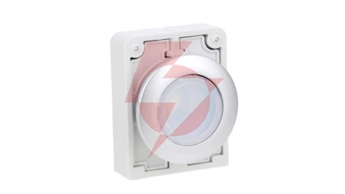 Napęd przycisku 30mm płaski biały z podświetleniam z samopowrotem M30C-FDL-W 182925