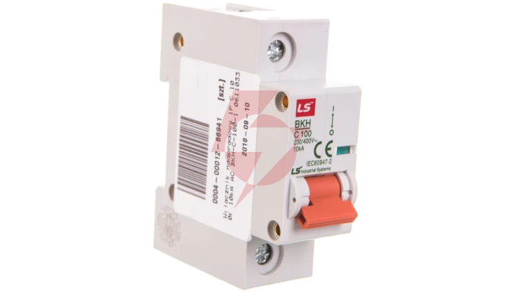 Wyłącznik nadprądowy 1P C 100A 10kA AC BKH 06110331R0