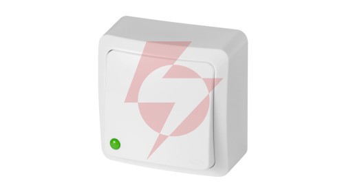 BERG Łącznik zwierny światło n/t 10AX IP20 biały 3713-00