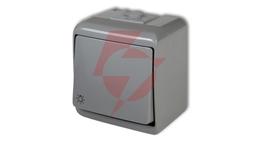 JUNIOR Przycisk /światło/ popielaty IP54 10WHE-5