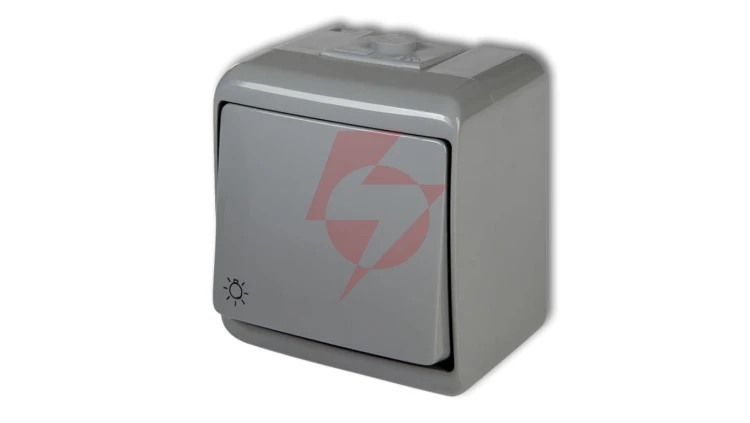 JUNIOR Przycisk /światło/ popielaty IP54 10WHE-5
