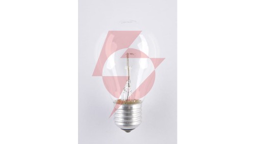 Żarówka E27 A55L 100W 24V SOLEO niskonapięciowa wysokotemperaturowa WST-2662