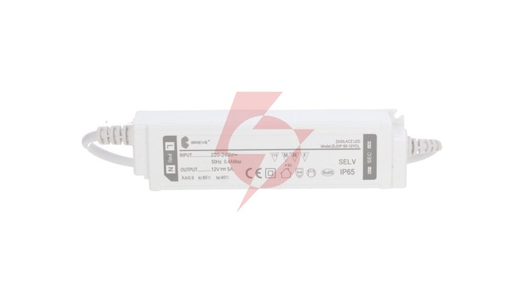 Zasilacz LED 12V DC 60W 5A IP65 /z zabezpieczeniami/ ZLDP 60-12YCL 19712-9039