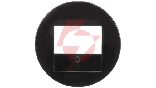 Berker R.1/R.3 Element centralny do gniazda TAE i głośnikowego czarny 10382045