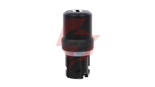Przełącznik z kluczem 22mm tworzywo 2 poz O-I BKS nr E2 (VW) klucz w poz O /dostawa bez kluczy/ SIRIUS ACT 3SU1000-5RF01-0AA0