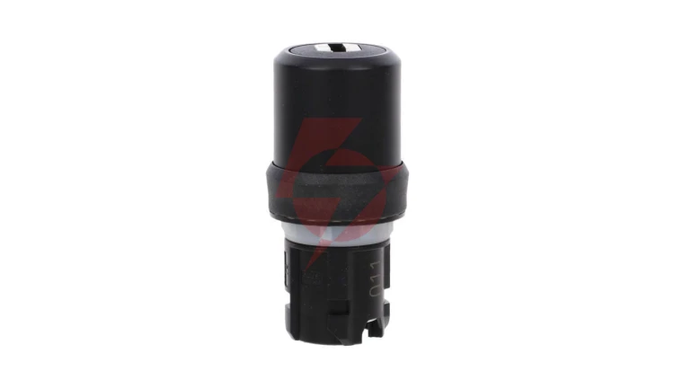 Przełącznik z kluczem 22mm tworzywo 2 poz O-I BKS nr E2 (VW) klucz w poz O /dostawa bez kluczy/ SIRIUS ACT 3SU1000-5RF01-0AA0