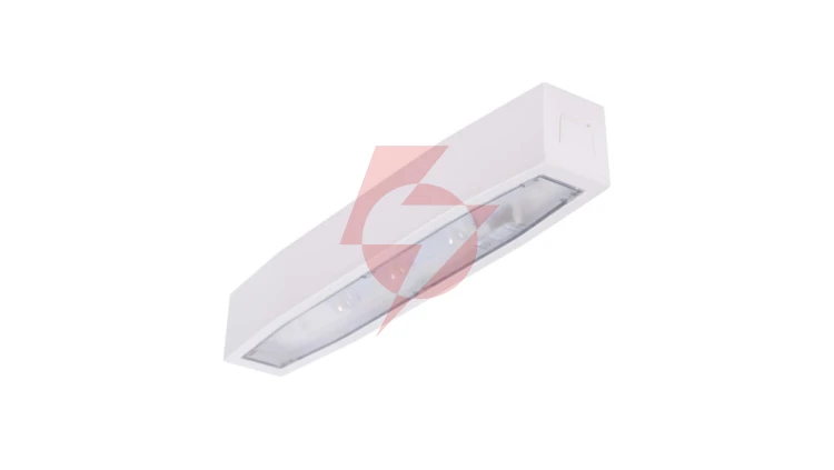 Oprawa sieciowo-awaryjna natynkowa SUPREMA SO 150 M 3H AT IP54 NT / 94504