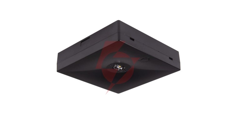 Oprawa awaryjna natynkowa STARLET QUAD SO 150 NM 1H MT BLK / 92996