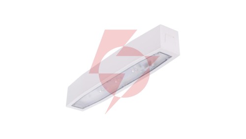 Oprawa awaryjna natynkowa SUPREMA SO 650 NM 2H AT IP54 NT / 94519