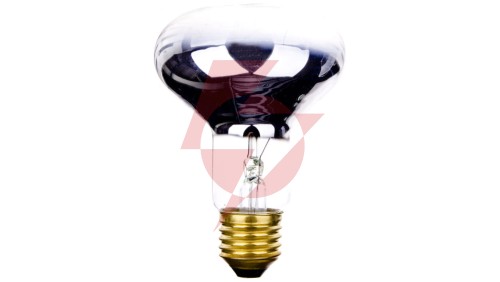 Promiennik podczerwieni E27 75W R80 do terrarium PRO-0406