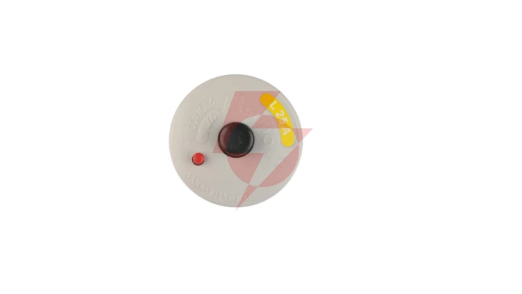 Wyłącznik nadmiarowy wkrętkowy L-25A GHS101 2250 VP0