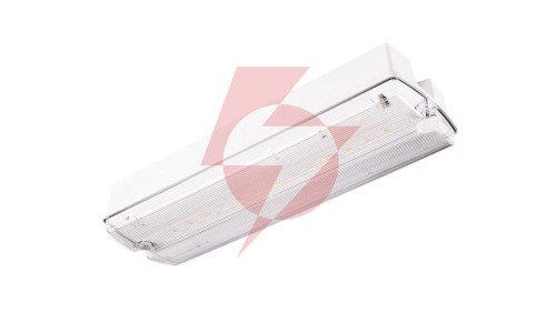 Oprawa ewakuacyjna/awaryjna ORION II 100 M 3H MT IP65 + ( OR7, OR8) / 91895