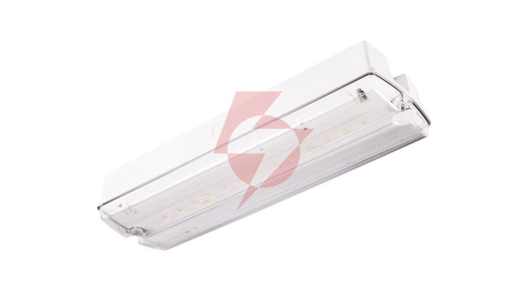 Oprawa ewakuacyjna/awaryjna ORION II 100 M 3H MT IP65 + ( OR7, OR8) / 91895