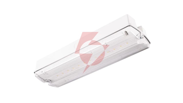Oprawa ewakuacyjna/awaryjna ORION II 150 M 3H MT IP65 + (OR7, OR8) / 91715
