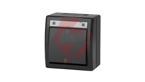 AQUANT 2K łącznik natynkowy 2-biegunowy IP55 antracytowy 5003-17