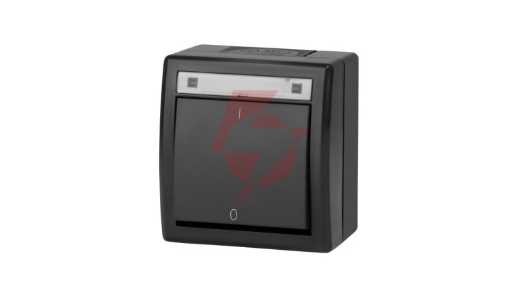 AQUANT 2K łącznik natynkowy 2-biegunowy IP55 antracytowy 5003-17