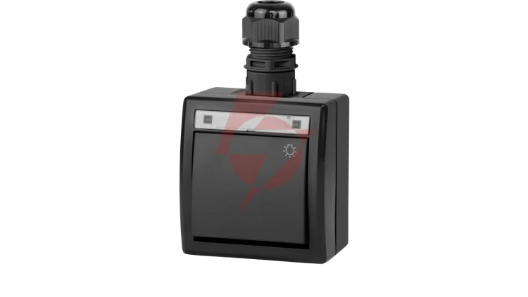 AQUANT 2K łącznik natynkowy zwierny światło IP65 antracytowy 5004-67