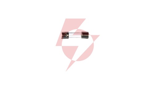 Wkładka aparatowa 5x20mm 1A F /szybka/ 250V 006710003 /10szt./